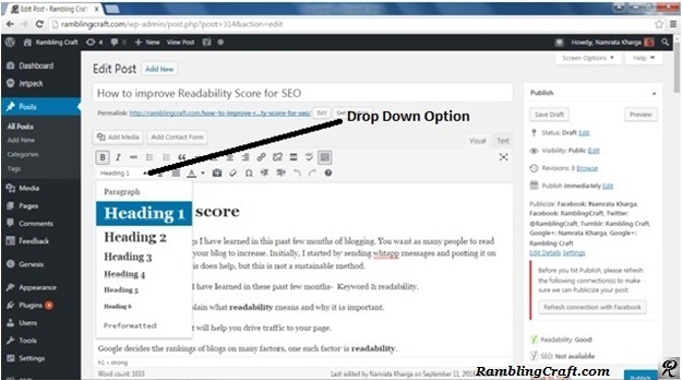 h1-tag-drop-down-option-ramblingcraft